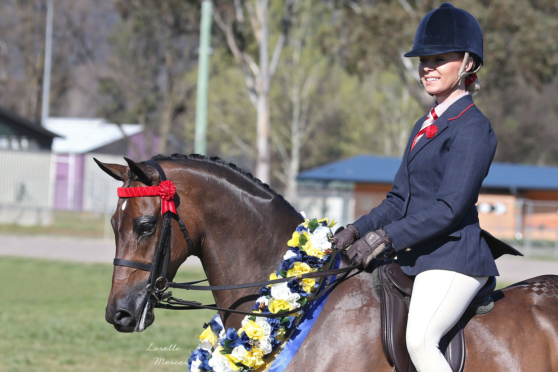 Macquarie Bank Hack Championships 2014 swanreach anthem