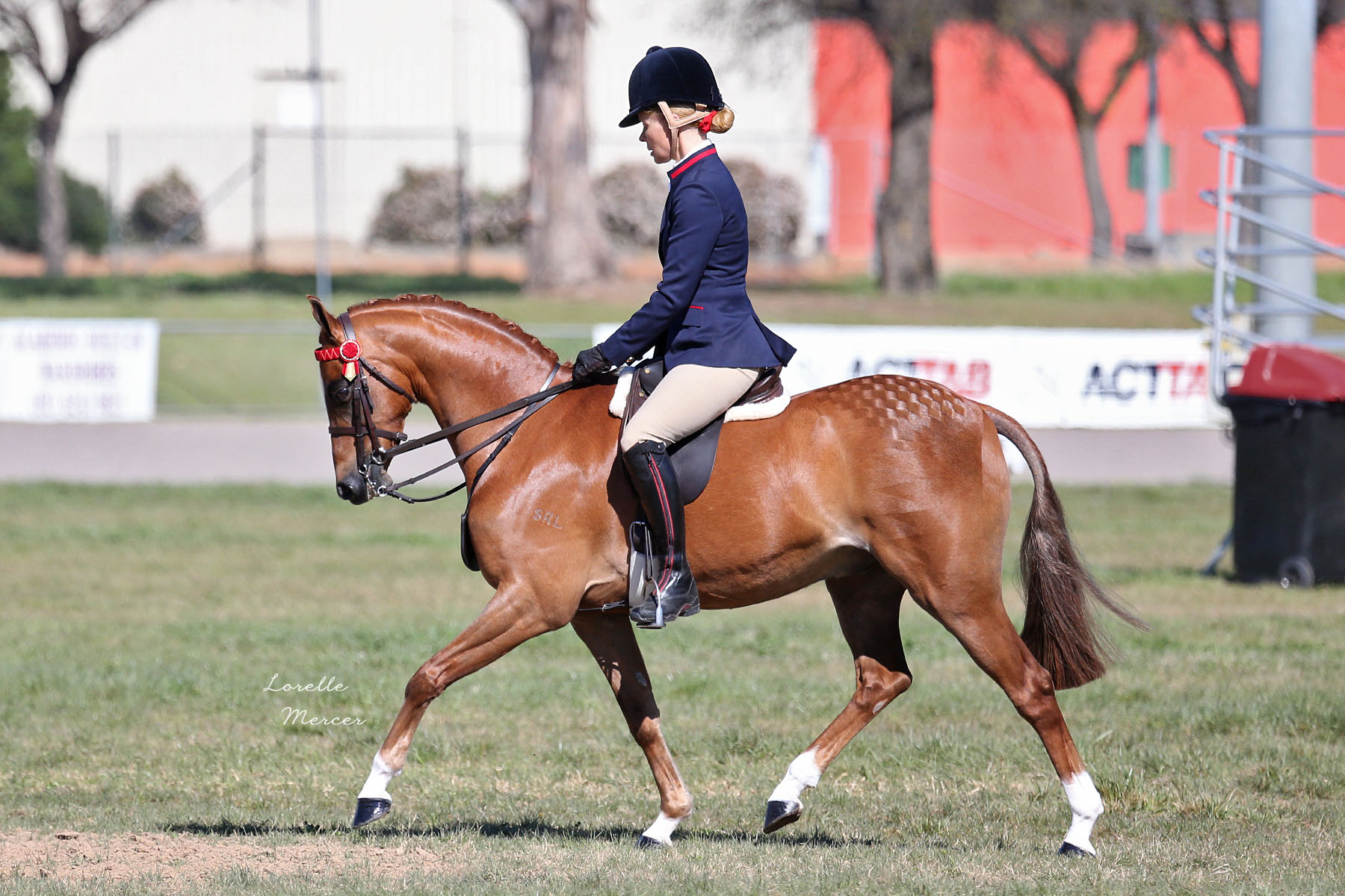 swanreach bolero